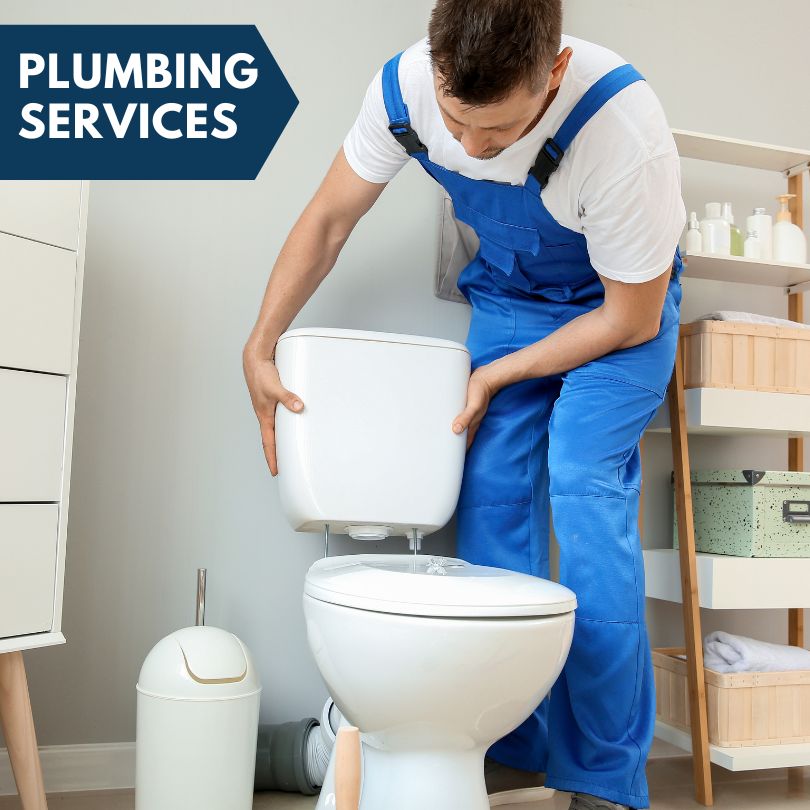 Plumbing Company in Ionia, MO